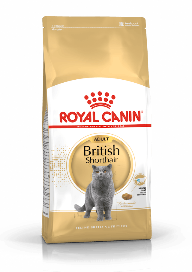 Royal Canin British Shorthair Irk Kedi Maması 2 Kg