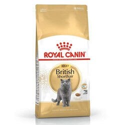 Royal Canin British Shorthair Irk Kedi Maması 10 Kg