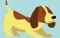 Köpek Kulübe Kafes ve Kapılar
