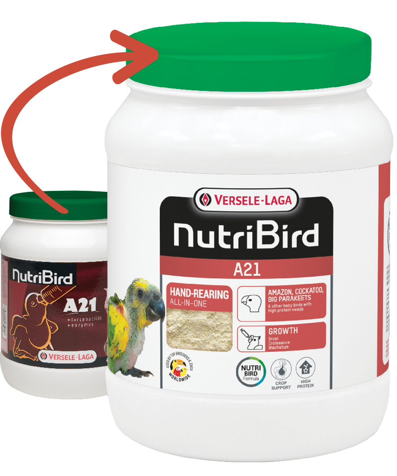 Versele Laga Nutrıbırd A21 Elle Yetiştirme Maması 800g