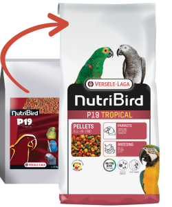 Versele Laga Nutrıbırd P19 Tropıcal Papağan Pelet Yem 10kg