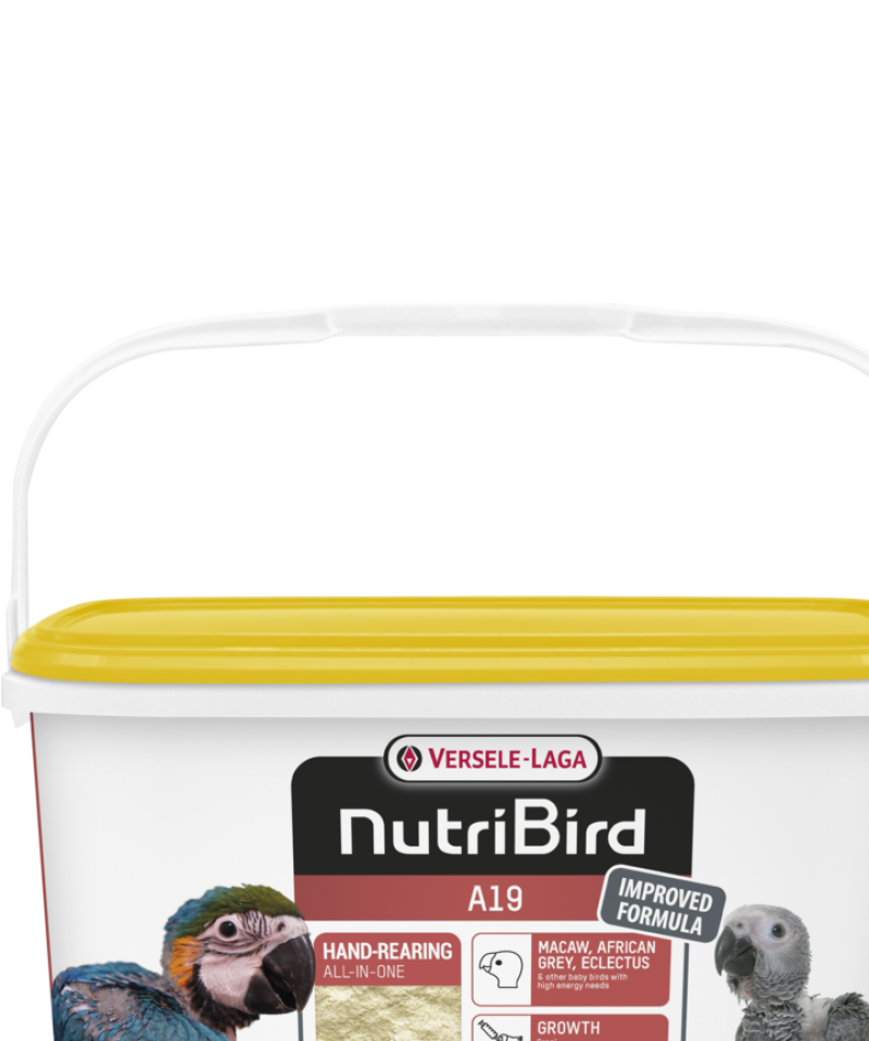 Nutrıbırd A19 Elle Yetiştirme Maması 3kg