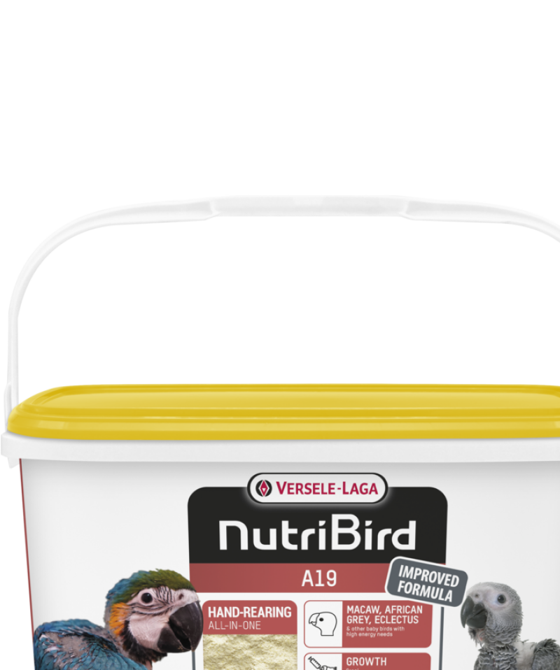 Nutrıbırd A19 Elle Yetiştirme Maması 3kg