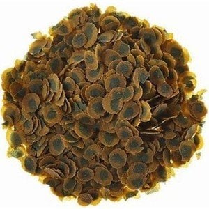 Tetra Pro Algae Multi Crisps pul yem  250 gram