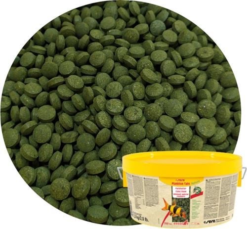 Sera Plankton Tabs Nature 50 Adet