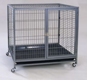 Dayang Köpek Kafesi Galveniz Teker 95x57x87