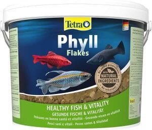 Tetra Phyll Bitkisel pul yem 250 Gram Kovadan Bölme