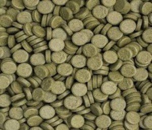 Tropical 3-ALGAE Tablet Balık yemi 100 adet