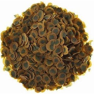 Tetra Pro Algae Multi Crisps pul yem 100 gram