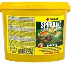 Tropical Super Forte Spirulina Tablet 100 adet