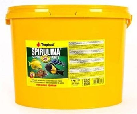 Tropical Super Forte Spirulina Pul Balık Yemi 100 Gram