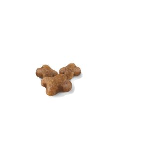 Royal Canin Kitten Yavru Kedi Maması 2 Kg