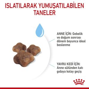 Royal Canin Mother & Babycat Yavru Kedi Maması 2 Kg