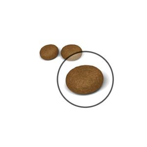Royal Canin Hair Skin Hassas Tüylü Kedi Maması 2 Kg