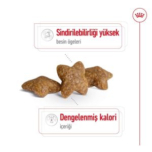 Royal Canin Mini Adult Küçük Irk Köpek Maması 2 Kg