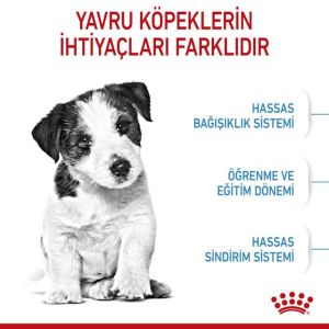Royal Canin Mini Puppy Küçük Irk Yavru Köpek Maması 4 Kg