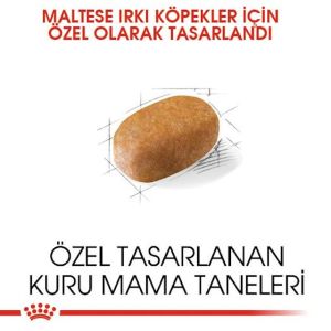 Royal Canın Maltese Adult Yetişkin Köpek Maması 1,5 Kg
