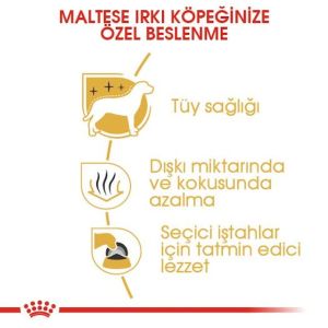 Royal Canın Maltese Adult Yetişkin Köpek Maması 1,5 Kg