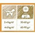 Purina Cat Chow somonlu Yetişkin Kedi Maması 15 Kg