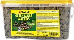 Tropical Green Algae Wafers 50 Gram