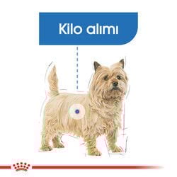 Royal Canin Mini Light Küçük Irk Diyet Köpek Maması 3 Kg