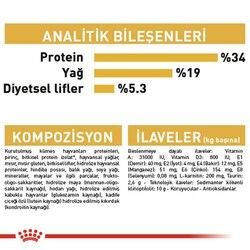 Royal Canin British Shorthair Irk Kedi Maması 10 Kg