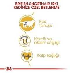 Royal Canin British Shorthair Irk Kedi Maması 10 Kg