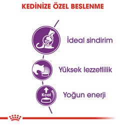 Royal Canin Sensible Hassas Kedi Maması 4 Kg