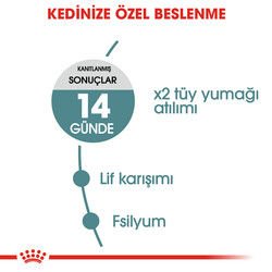 Royal Canin Hairball Tüy Yumağı Kontrolü Kedi Maması 2 Kg