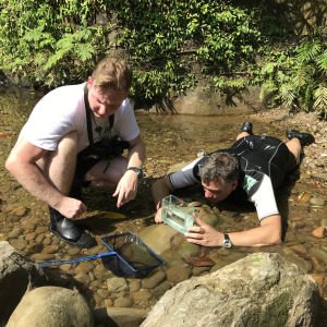 Jbl Premium Kepçe 25 Cm