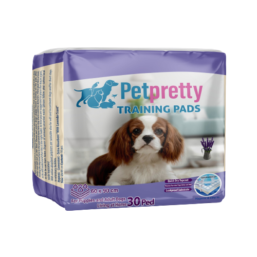 Petpretty Lavantalı Çiş Pedi 90X60 Cm 30 Lu
