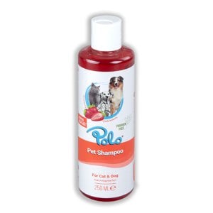 Polo Şampuan Çilek Kokulu 250 Ml